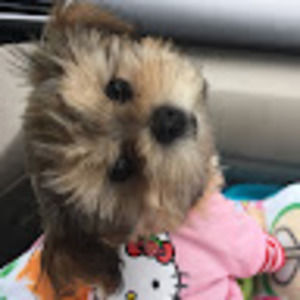 Meet your Posher, Macy